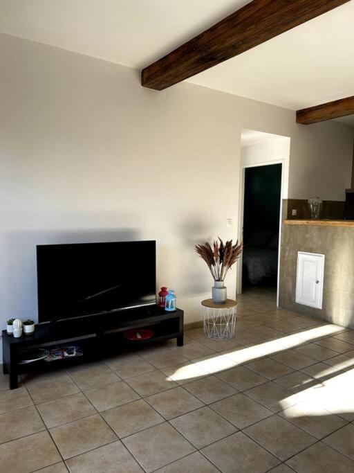 Superbe Appartement Dans Un Mas Nimes Exterior photo